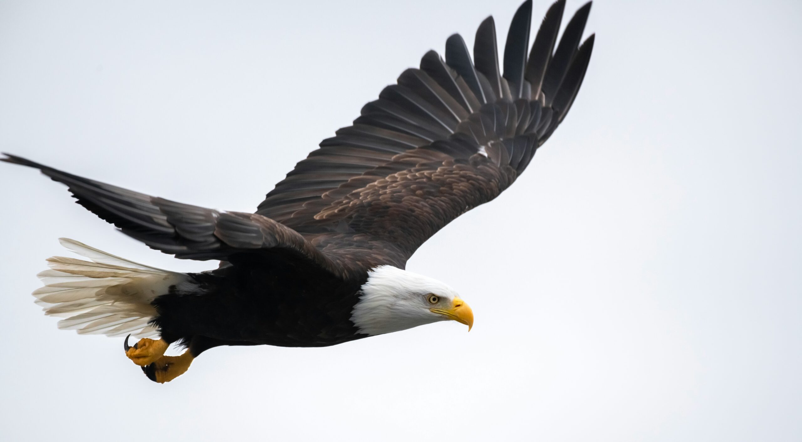 greg johnson oyxebe3z71u unsplash