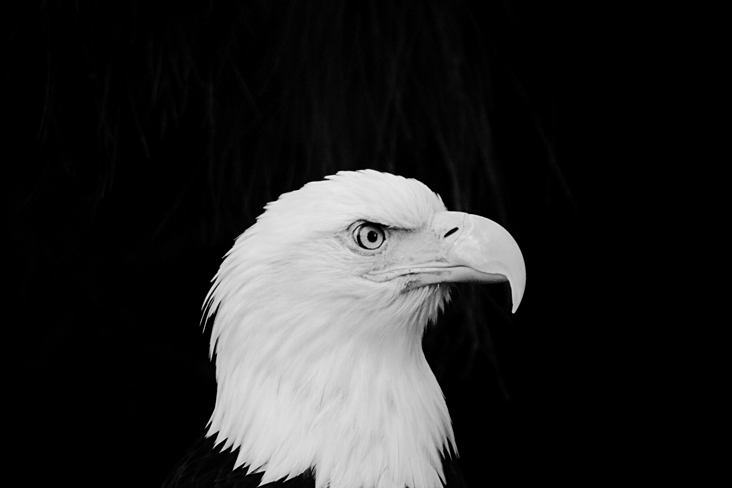 Press james lee i2k9kks2xw8 unsplash